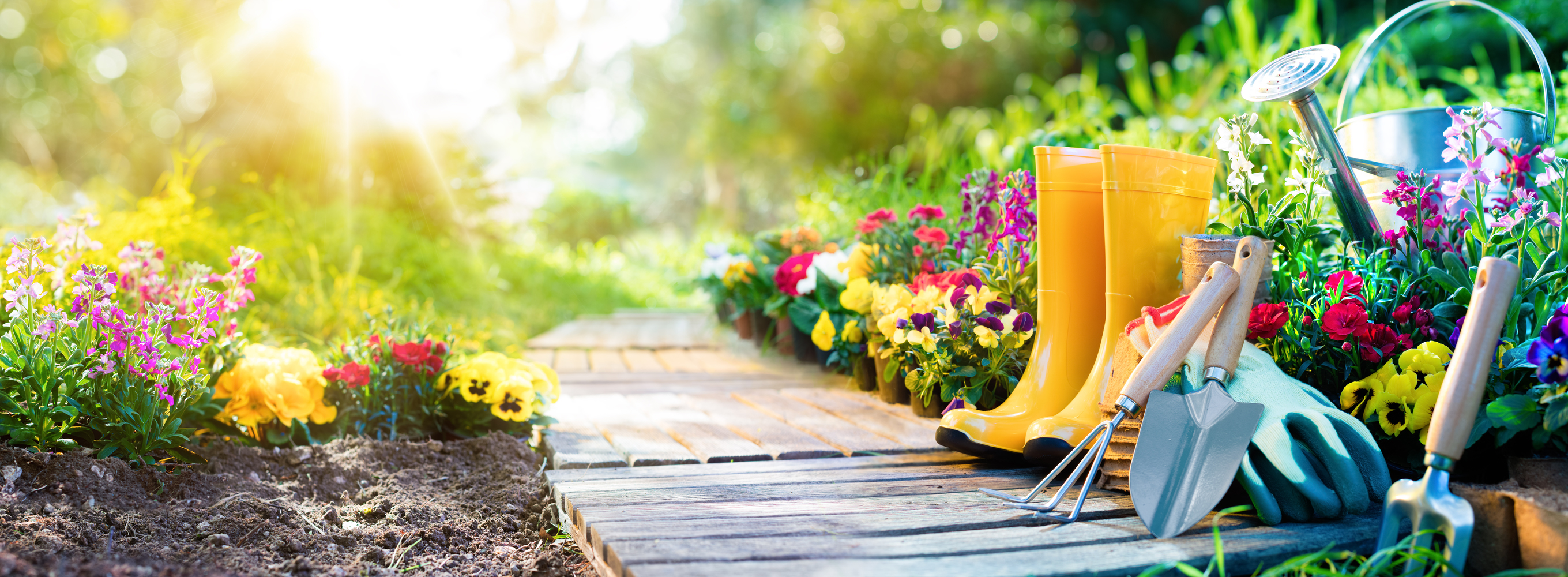 The Surprising Health Benefits of Gardening
